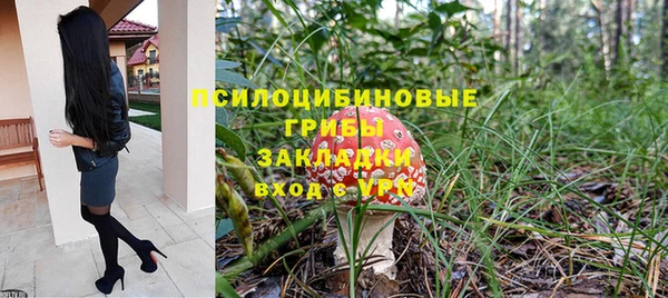бошки Иннополис